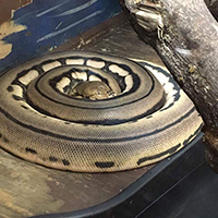 Reticulated Python, Kaa200.jpg